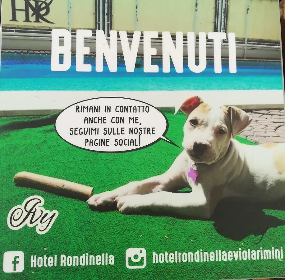 Hotel Rondinella e Viola Rimini Italia